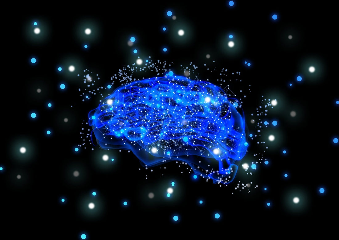 幹細胞培養液で脳のアンチエイジングは可能か？最新研究が示す“再生の鍵”