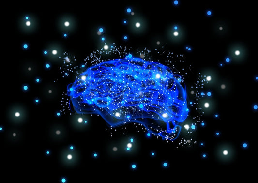 幹細胞培養液で脳のアンチエイジングは可能か？最新研究が示す“再生の鍵”